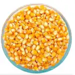 Dried Corn